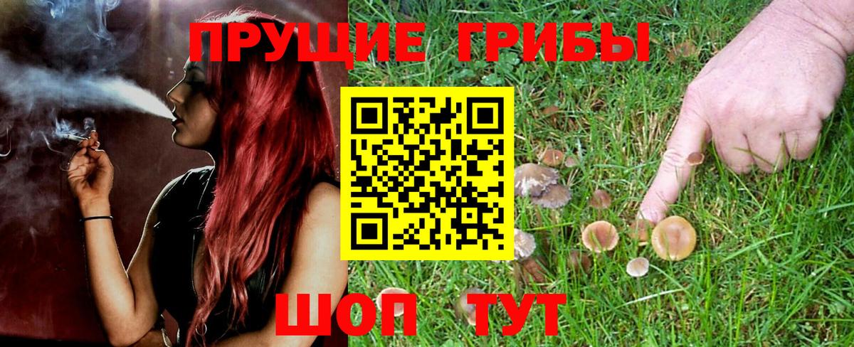 Псилоцибиновые грибы Cubensis  Вход с VPN  Кандалакша 